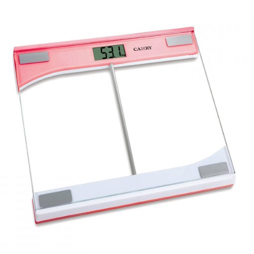 CAMRY Digital Weight Scale